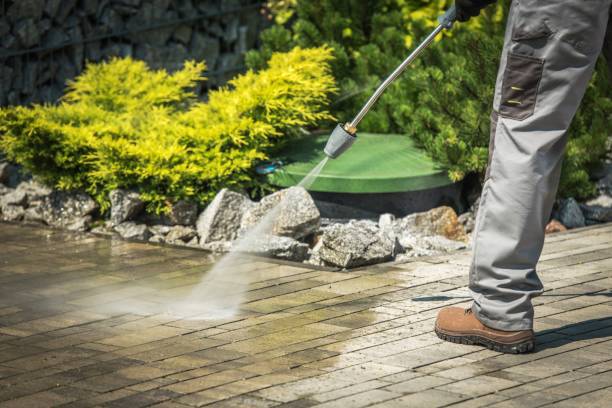 Best Pre-Holiday Cleaning  in Triana, AL