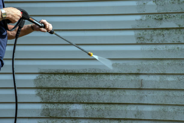 Best Building Exterior Washing  in Triana, AL