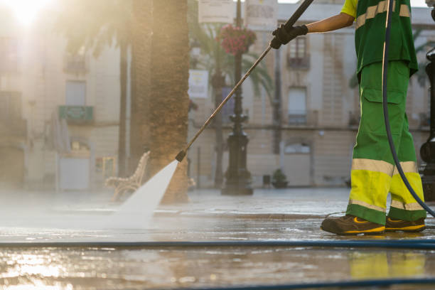 Best Solar Panel Cleaning  in Triana, AL